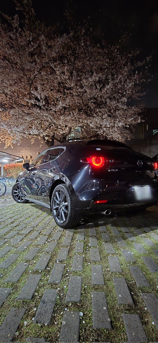 仕事と小屋入りの間に、洗車したんです。素晴らしき黒の輝き。筋肉と洗車は裏切らない。