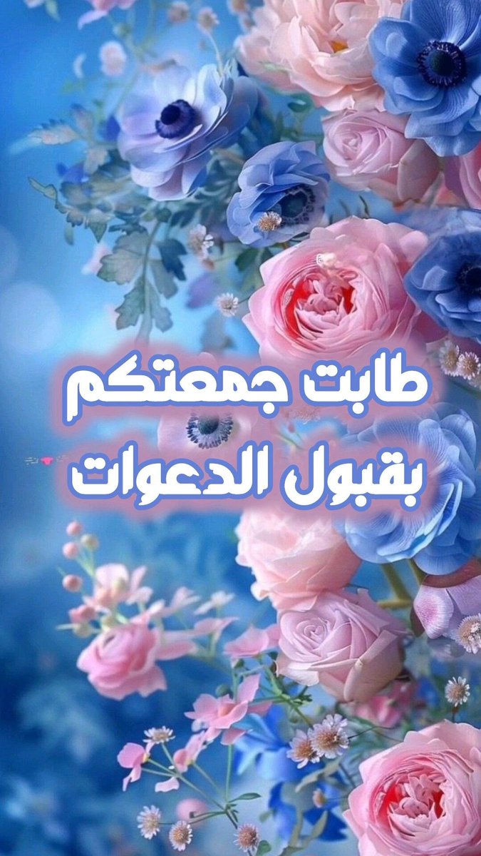 nona zain tweet media