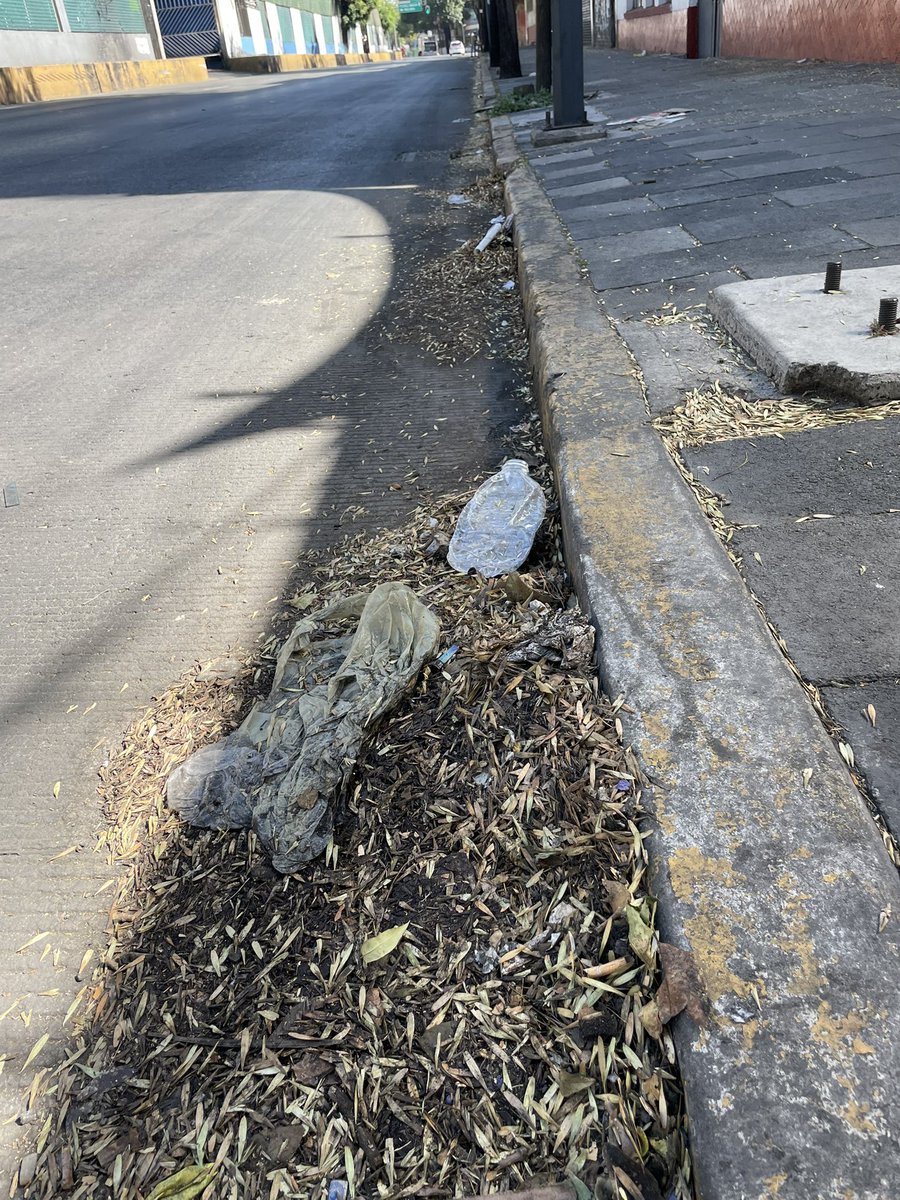 normagiss's tweet image. Meses sin el servicio de limpia en la lateral del Circuito Interior Instituto Técnico Industrial en Santa María la Ribera. @AlcCuauhtemocMx @AlessandraRdlv @SOBSECDMX @GobCDMX @ClaraBrugadaM