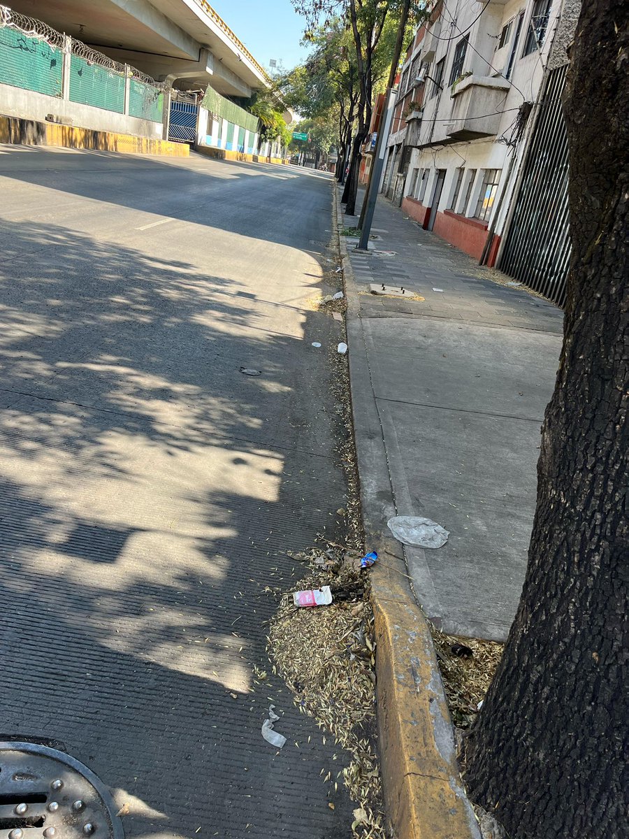 normagiss's tweet image. Meses sin el servicio de limpia en la lateral del Circuito Interior Instituto Técnico Industrial en Santa María la Ribera. @AlcCuauhtemocMx @AlessandraRdlv @SOBSECDMX @GobCDMX @ClaraBrugadaM