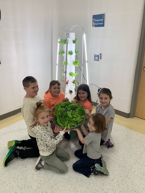 ZumFlintHill's tweet photo. Firebirds helped harvest our school-grown hydroponic lettuce today! 🥬✨ Grown with care and science—now headed straight to lunch trays for a fresh and healthy bite! #HydroponicHarvest #FirebirdFresh #GardenToTable https://t.co/1nxwBI0bGm