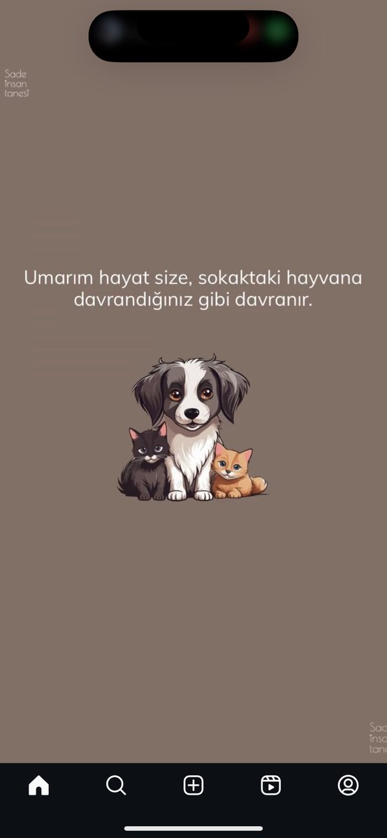 Bir gün değil her gün ‼️

#SokakHayvanlarıSahipsizDeğil 
#4nisandünyasokakhayvanlarıgünü 
#4NisanSokakHayvanlarınıKorumaGünü