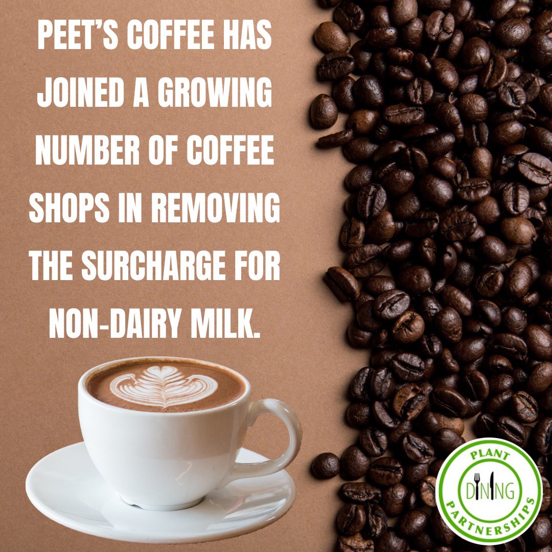PlantDining's tweet photo. Many coffee chains such as Starbucks, Dunkin’, Dutch Bros, and more have dropped their non-dairy surcharge within the past six months.  Peet’s Coffee follows suit and has previously reported that more than a fifth of all beverages sold are non-dairy. 

#nondairymilk #coffee https://t.co/ljwK65SQU5