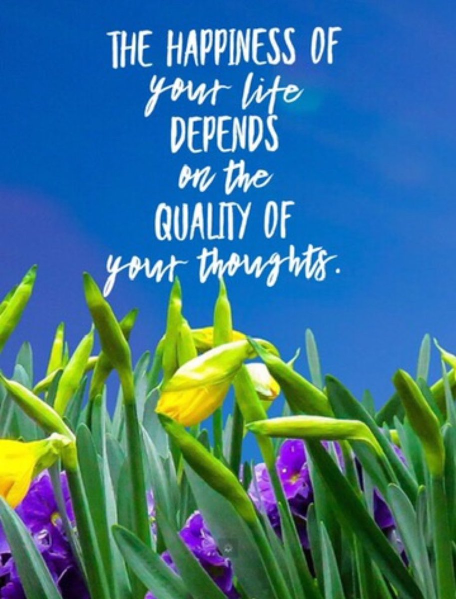 Kathleen DeCosmo tweet media