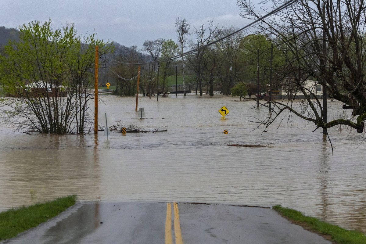 ryanhermens's tweet photo. Middleburg, Kentucky.

@heraldleader https://t.co/gqzOKXDJEh
