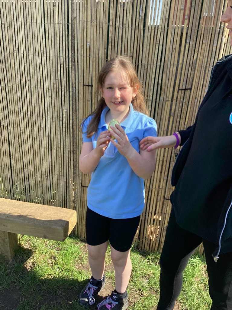 Easter Egg Hunt! The Easter Bunny dropped some eggs in our playground today! We had to find and count the eggs. We thought they tasted delicious!