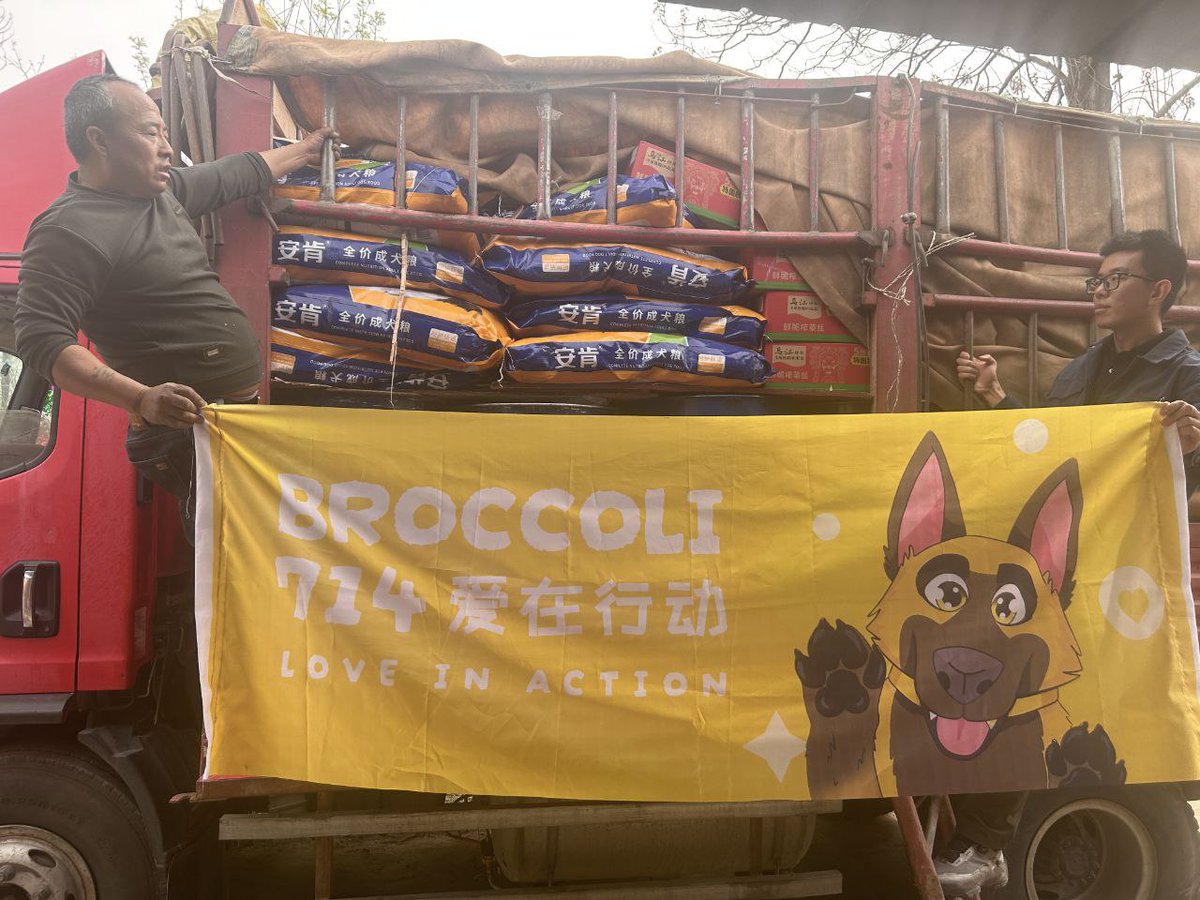 Broccoli_NGO's tweet image. Providing a Full Meal for 400 Dogs on a Mountain in Weinan, Shaanxi 🐶🥣

Dear Broccoli Community Members,  

On the western outskirts of Weinan, Shaanxi, nestled halfway up a mountain, lies a small, nearly forgotten shelter. No humans reside there—only over 400 stray dogs, many…