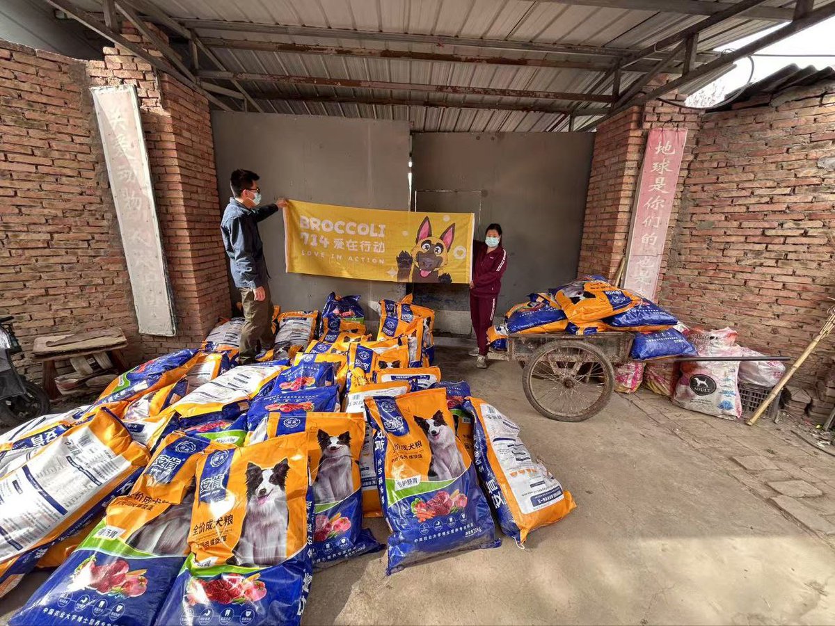 Broccoli_NGO's tweet image. Providing a Full Meal for 400 Dogs on a Mountain in Weinan, Shaanxi 🐶🥣

Dear Broccoli Community Members,  

On the western outskirts of Weinan, Shaanxi, nestled halfway up a mountain, lies a small, nearly forgotten shelter. No humans reside there—only over 400 stray dogs, many…