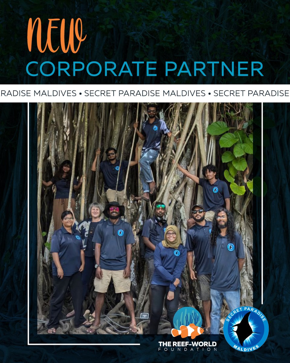 The Reef-World Foundation (Reef-World) (@reef_world) on Twitter photo Meet our newest corporate partner <a href="/SecretParadise/">Secret Paradise</a>! 🌊
This innovative tour company is transforming Maldives tourism by:
- Implementing Green Fins snorkelling practices
- Supporting local communities
- Turning tourists into ocean advocates
Full story: reef-world.org/blog/secret-pa… Meet our newest corporate partner <a href="/SecretParadise/">Secret Paradise</a>! 🌊
This innovative tour company is transforming Maldives tourism by:
- Implementing Green Fins snorkelling practices
- Supporting local communities
- Turning tourists into ocean advocates
Full story: reef-world.org/blog/secret-pa…