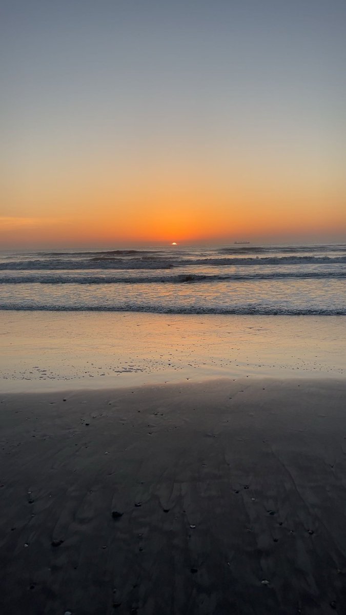 Ava Geyer tweet media