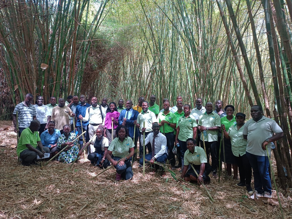 KyaggweTv's tweet photo. Celebrating the belated International Day of Forests 2025 at @NAFORRI_UG. This year's theme, โForests and Foods,โ highlights the role forests play in ensuring global food security, sustaining livelihoods, and promoting biodiversity. @narouganda https://t.co/ERU9nRdy4H