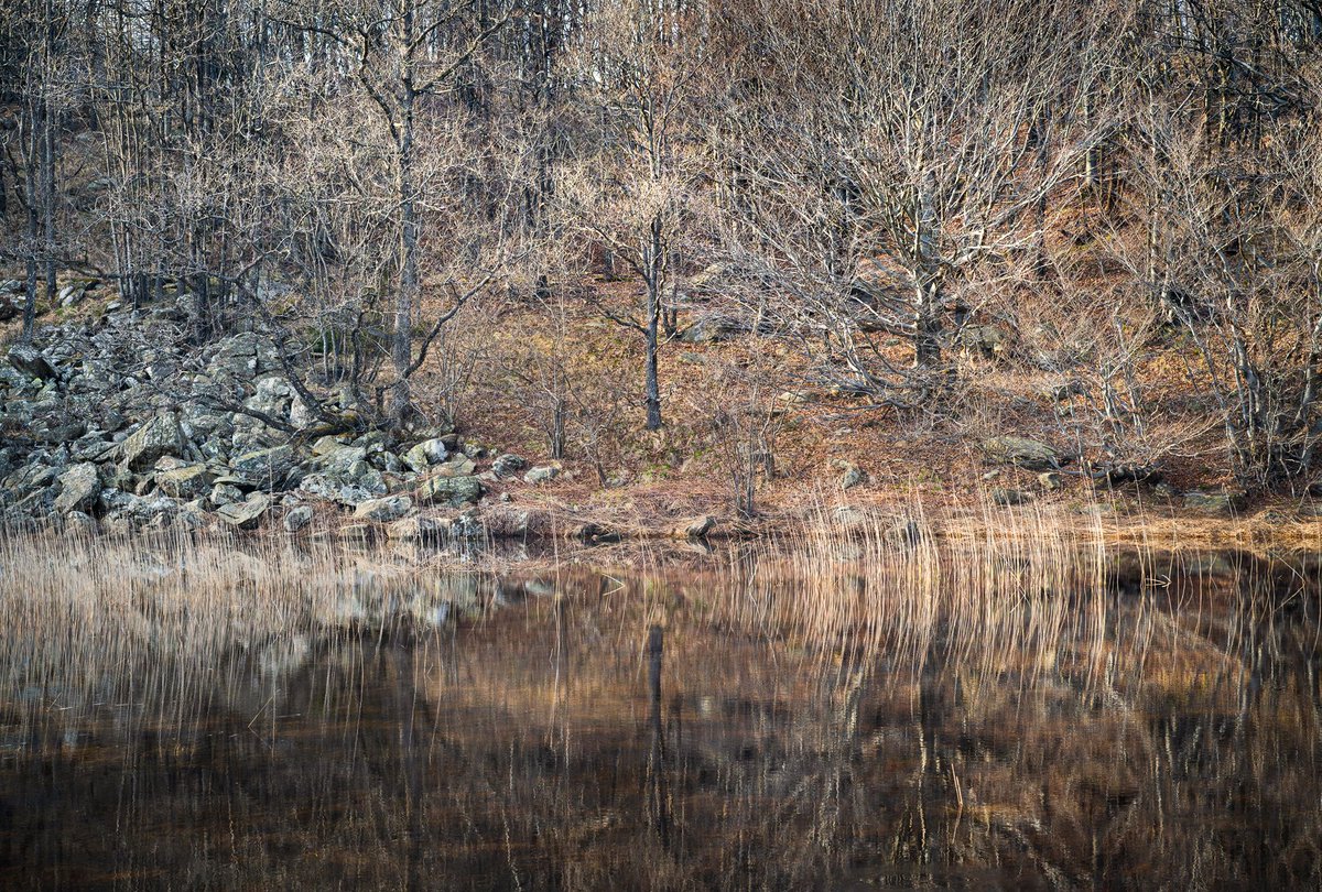 "Resonance"

I've always been fascinated by the theory that the entire universe is vibration and resonance; Pythagoras and Eastern sages intuited this, while today we find evidence of it in quantum physics. Like music, reality manifests itself harmoniously and in continuous flow