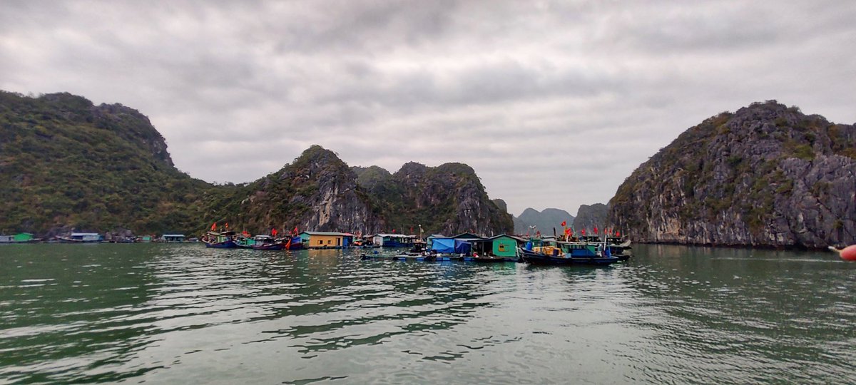 r_campix's tweet photo. #Halong_bay #CatBa #Vietnam https://t.co/KC1VgFNH3f
