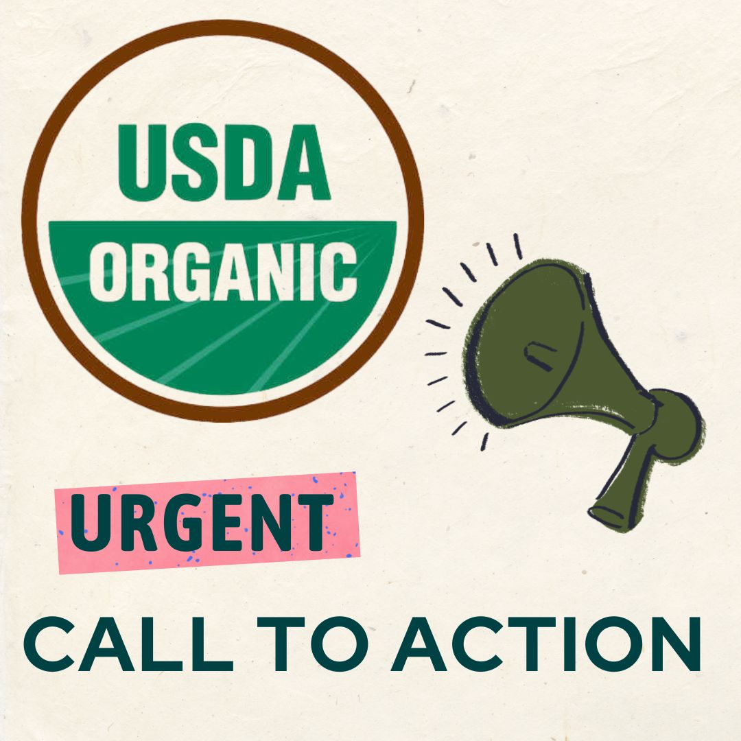 PAOrganic's tweet photo. 📢 Join PCO and others in the organic community by signing a letter—drafted by OTA, OFA, and the National Organic Coalition—urging USDA Secretary Rollins to protect staffing for the NOP.

Sign on &amp; share: https://t.co/qDoRSwYzqH

🕐 Deadline: Monday, April 7, 1PM EST https://t.co/ySDY37kvsM
