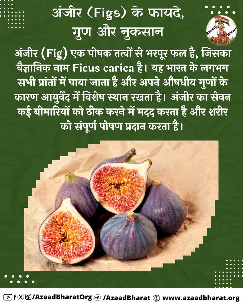 अंजीर एक शक्तिशाली सुपरफूड है, जिसमें कैल्शियम, पोटेशियम, मैग्नीशियम, फाइबर, प्रोटीन, और विटामिन A, B, C प्रचुर मात्रा में पाए जाते हैं, जो इसे सेहत के लिए एक अद्भुत सुपरफूड बनाते हैं। जो शरीर को ऊर्जा देकर कई बीमारियों से भी बचाता है।
पूरी पोस्ट पढ़े 👉🏻azaadbharat.org/?p=11284