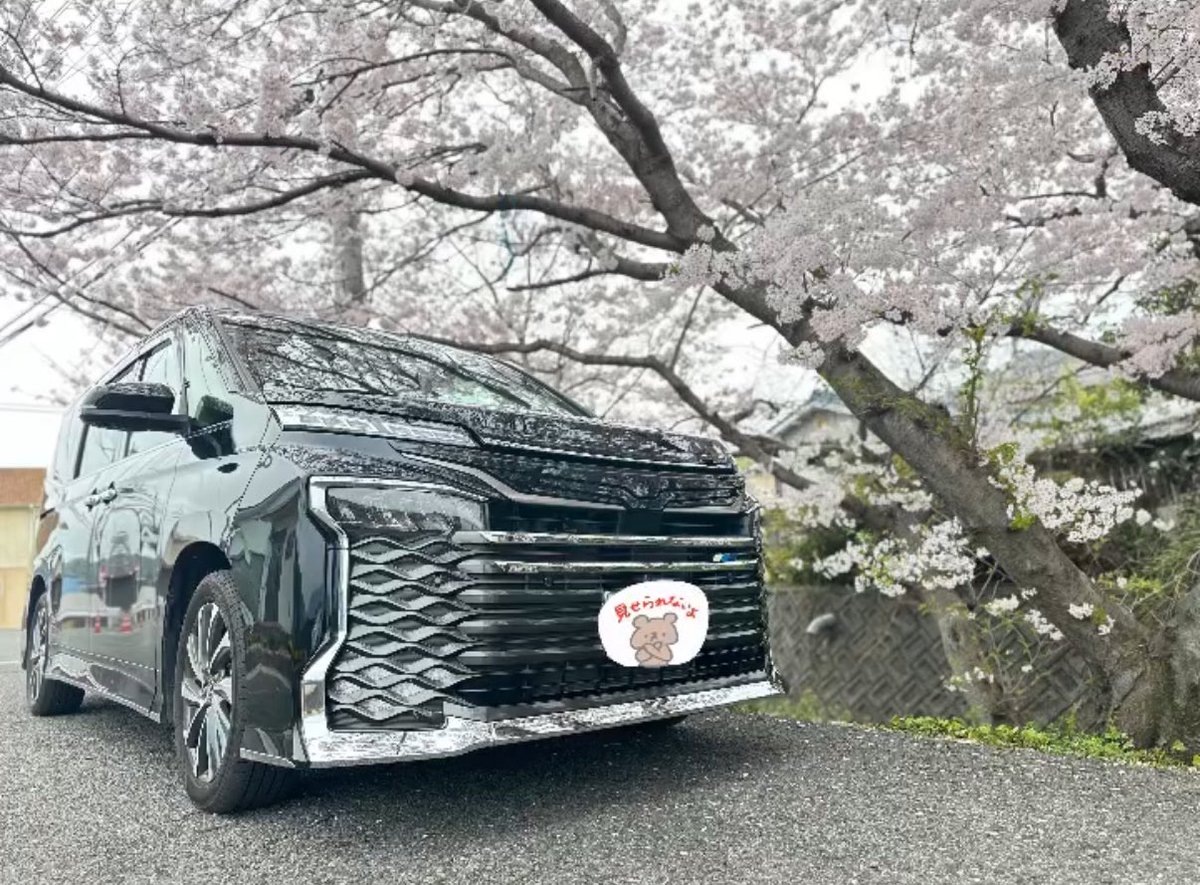 VOXY_SZ's tweet photo. 2代目ヴォクシー、初のお花見🌸
1代目ヴォクシーの時と同じ場所！ https://t.co/Z1aprrTgcd