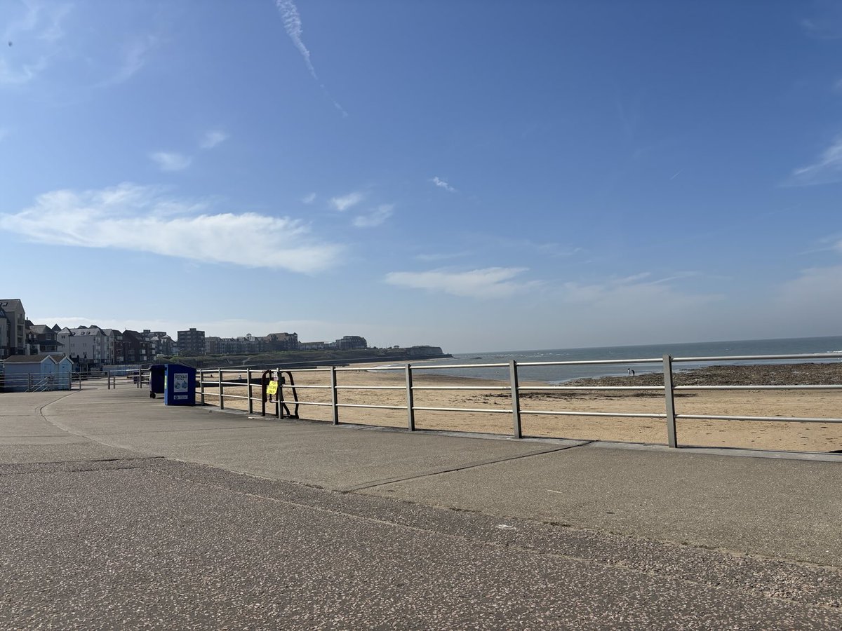 Tim Green tweet media