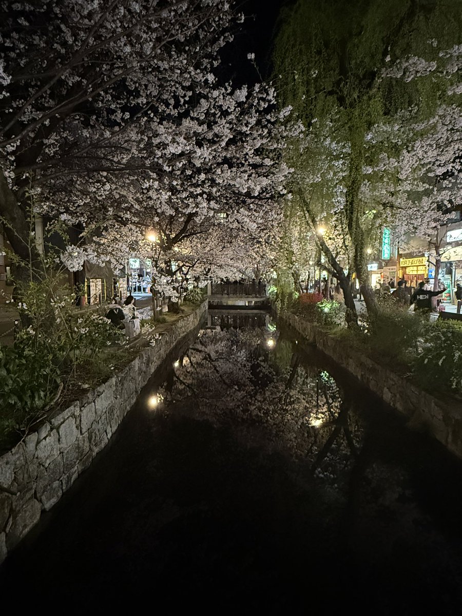 MrDrSenju's tweet photo. Been a while isn’t it. 

Spring is here. https://t.co/vhMYQsFzfc