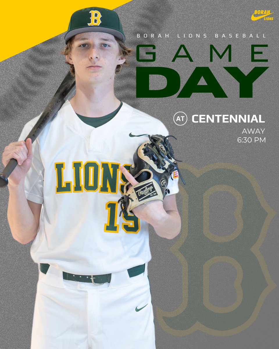 Borah Baseball tweet media