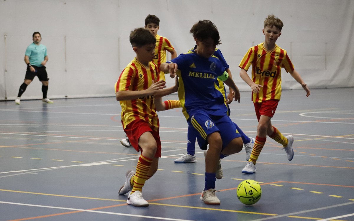 RFMF_MELILLA tweet media