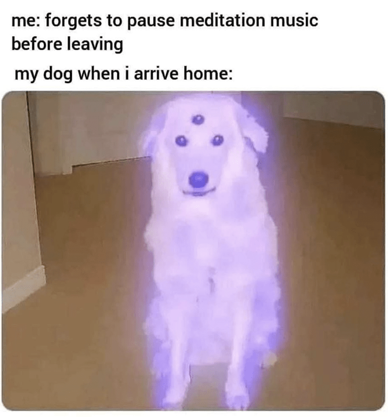 Respectful Memes (@respectfulmemes) on Twitter photo 