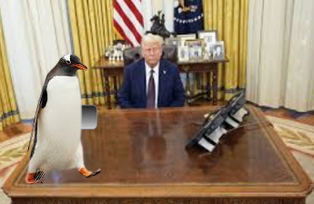 451_Grad_F's tweet photo. #POTUS_Donald nimmt die Akkreditierung des Botschafters Lucky MMMCCXV der Penguins Island entgegen. https://t.co/cAWGrv3AI9