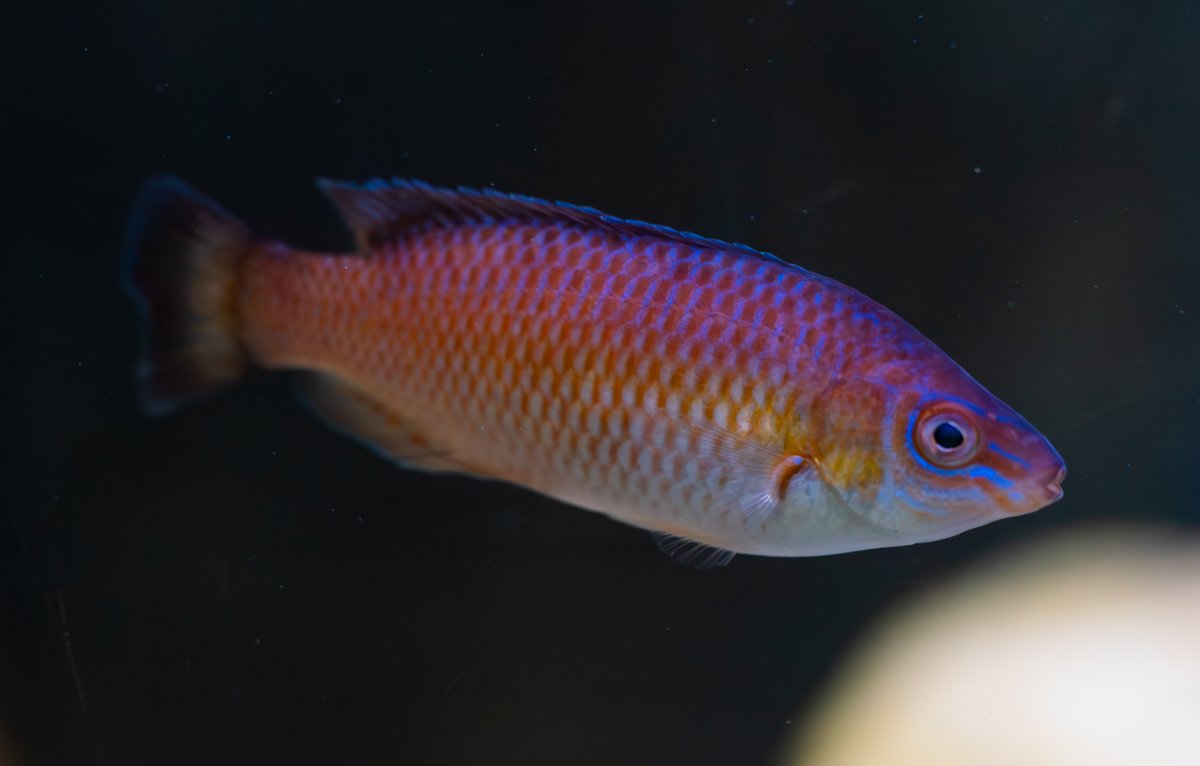 We'll be open 7 days a week through the #Easter holidays starting from tomorrow, 5th April - 10am - 3:30/4pm