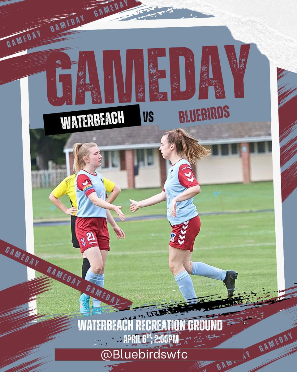 Fulbourn Institute Bluebirds tweet media