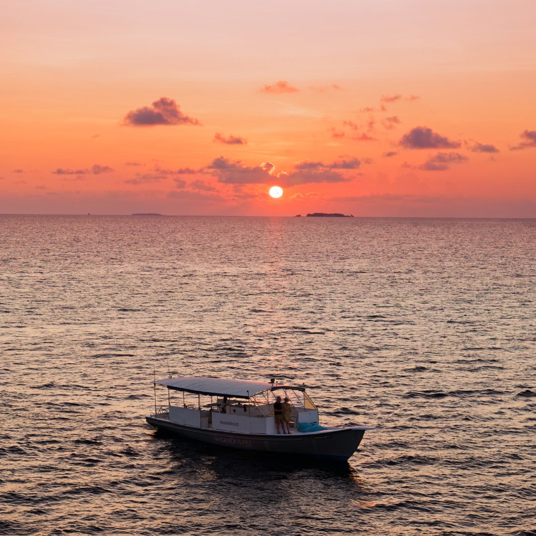 Kandolhu's tweet photo. The sun sets, the adventure begins ๐
๐ค
#SunsetCruise #EndlessViews #TravelGoals #Outdoors #Adventure #KandolhuVibes #KandolhuMaldives #VisitMaldives https://t.co/rFzWGVZwfX