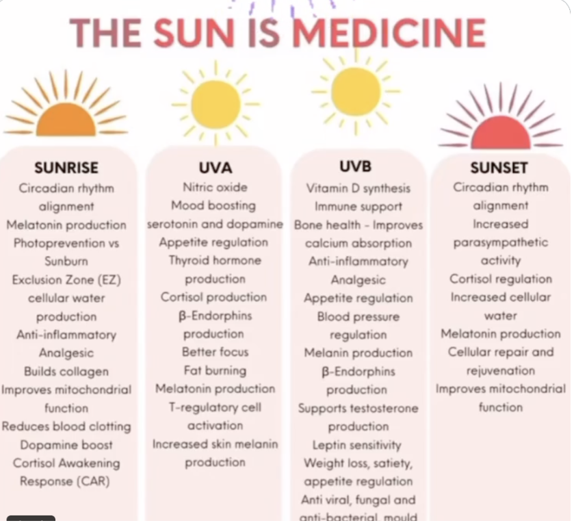 the sun is so much more than UV rays. every single wavelength heals you in a unique way