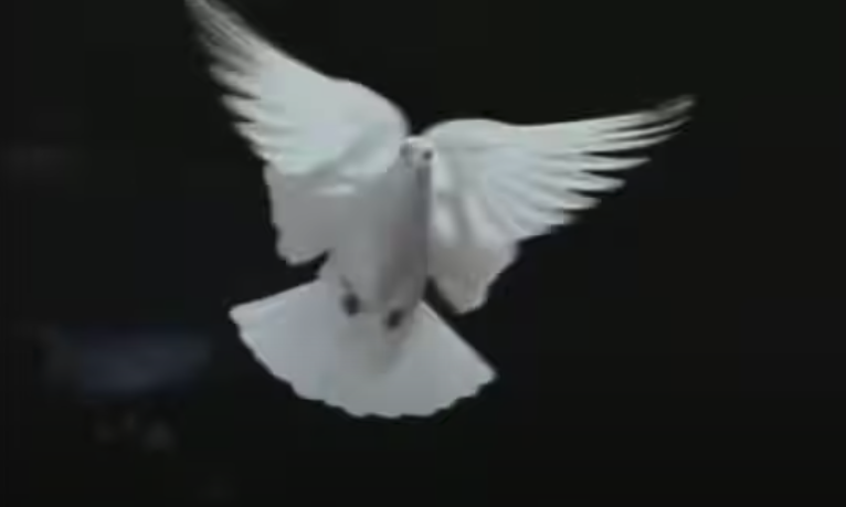 VirginRadioIT's tweet image. Il secondo #RevolverCult di oggi a #RevolverShow è Temple of Love dei #SistersOfMercy! @VIRGINRINGO 
youtube.com/watch?v=H1Vt-q…