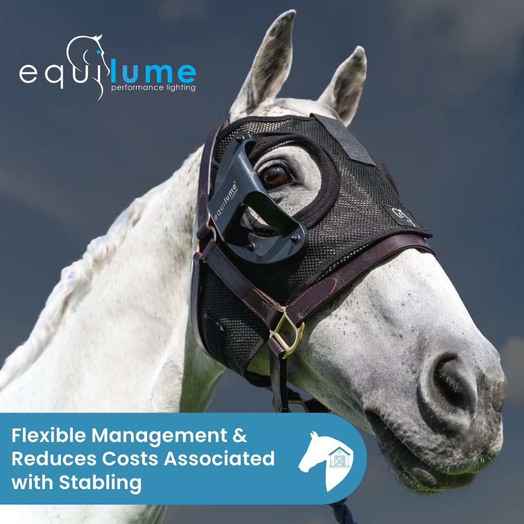 Equilume provides a smart horse management solution that reduces stabling costs. The Equilume Light Mask uses blue light to regulate your horse’s body clock, enhancing mood and health. Improve horse health and management with Equilume. #BetterWithBlue