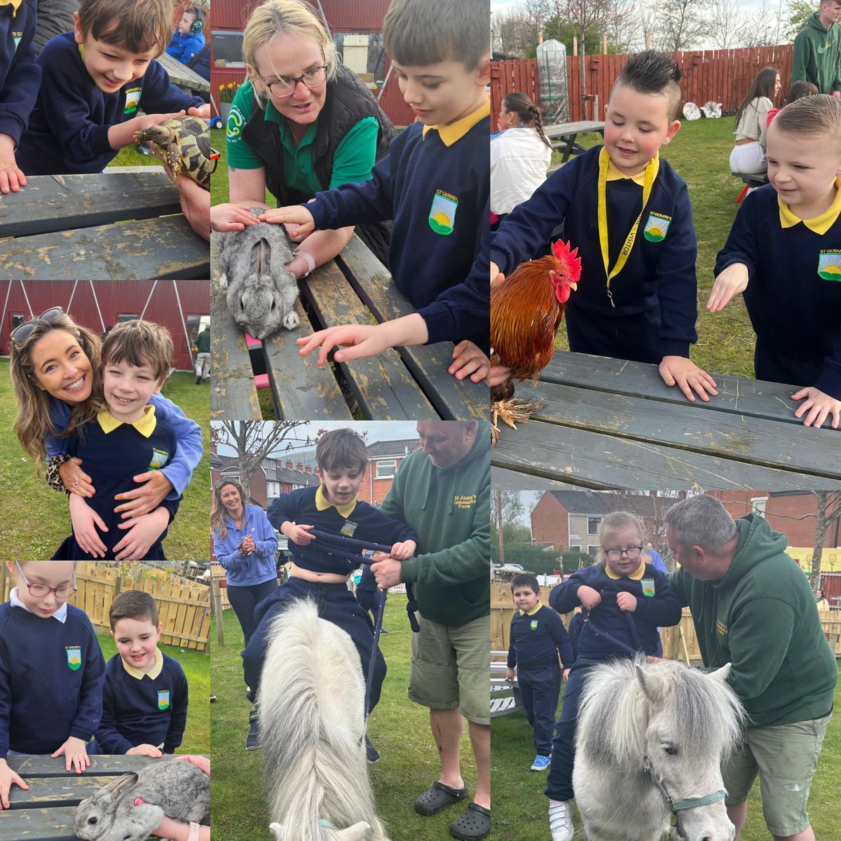 St. Gerard’s Special School tweet media