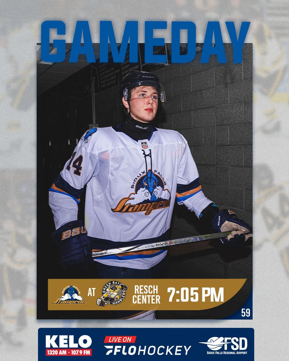 Up North! 

🆚: Green Bay Gamblers
🕓: 7:05 PM
📌: Resch Center
📺: @flohockey 

#RunAsOne🦬 I <a href="/sfairport/">FSD</a>