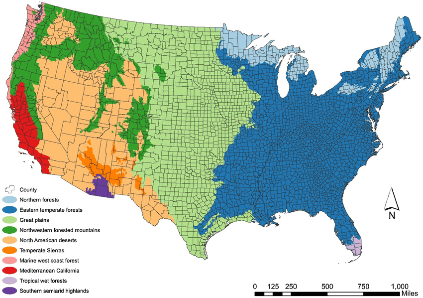 Guo Liu | 劉果 tweet media