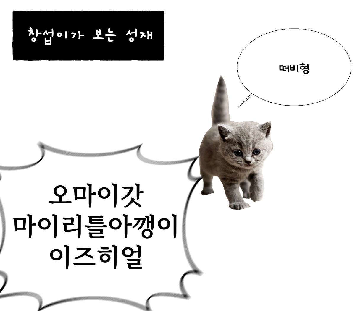 내가 생각하는 뇽떱 기본베이스...
ㄹㄴㅁ 재밌었다(뇽자얼굴이)