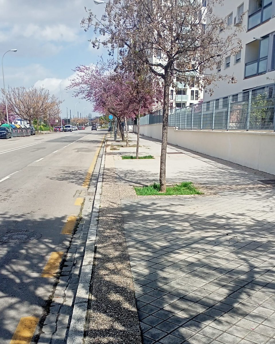 🧹✨ Actuamos en la barriada de La Chana con barredora de calzadas y soplahojas para mantener las calles en óptimas condiciones. 

¡Seguimos trabajando por una Granada Limpia!

#granadalimpia #inagra <a href="/aytogr/">Ayuntamiento de Granada</a> <a href="/marifrangr/">Marifran Carazo</a> @anasrequena <a href="/PreZero_ES/">PreZero España</a>