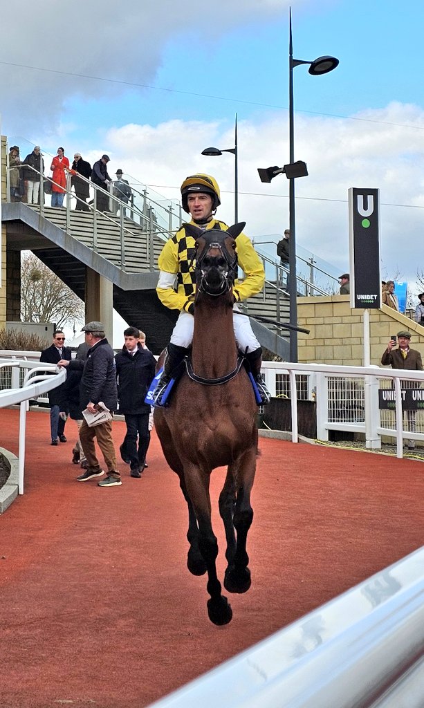 This was the Salvator mundi we saw at Cheltenham FFS, all class today