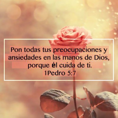 Maynor morales (@maynor69110298) on Twitter photo 