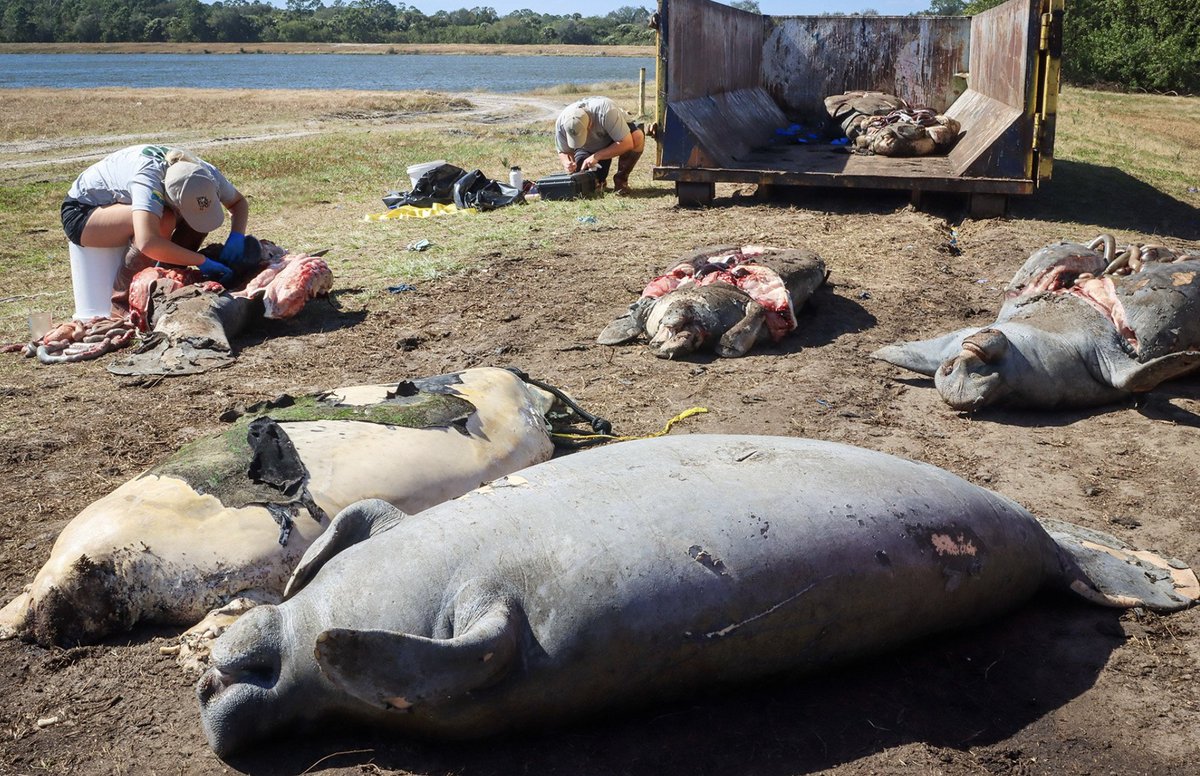 Bethany Barnes tweet media