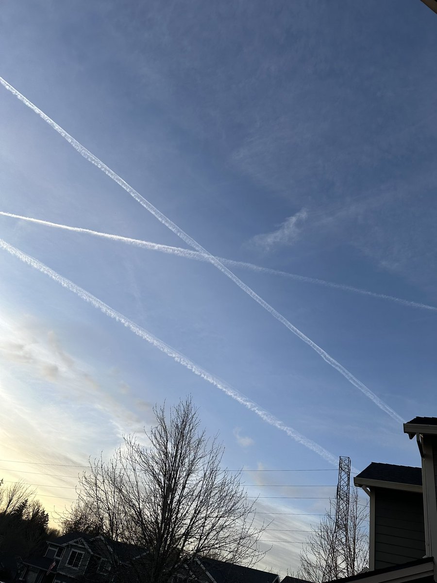 LeeDetto's tweet photo. @Chemtrail101 How many do you want? I have hundreds n hundreds of pics over the last decade or so #EndGeoEngineering @SecKennedy @RobertKennedyJr @NicoleShanahan @POTUS @realDonaldTrump #WTFtrump #WTFrfk https://t.co/X3CnuirOvf