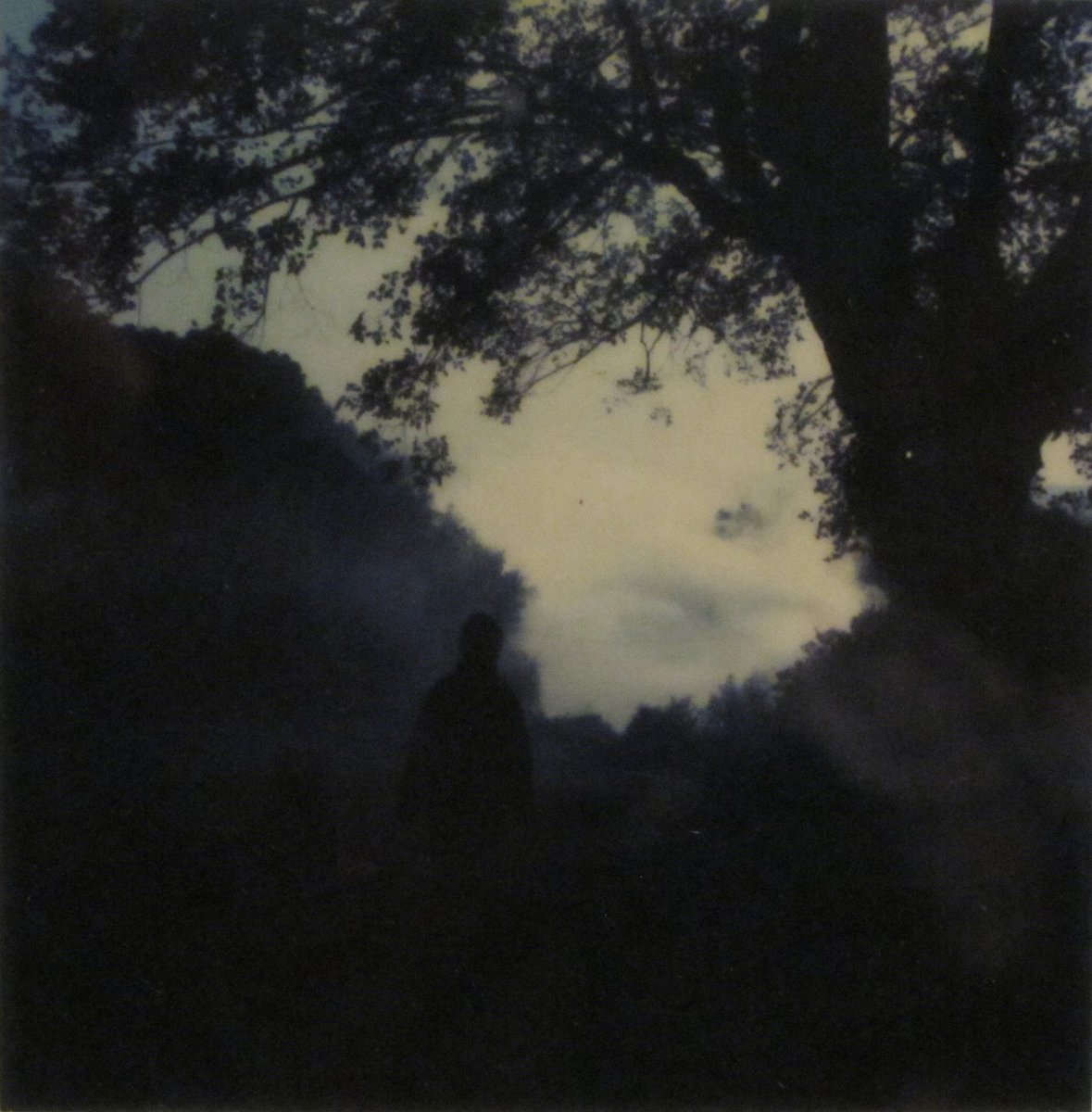 vvs00's tweet photo. Cada polaroid de Tarkovsky es un ensayo sobre la luz https://t.co/u3Spxvsj5S