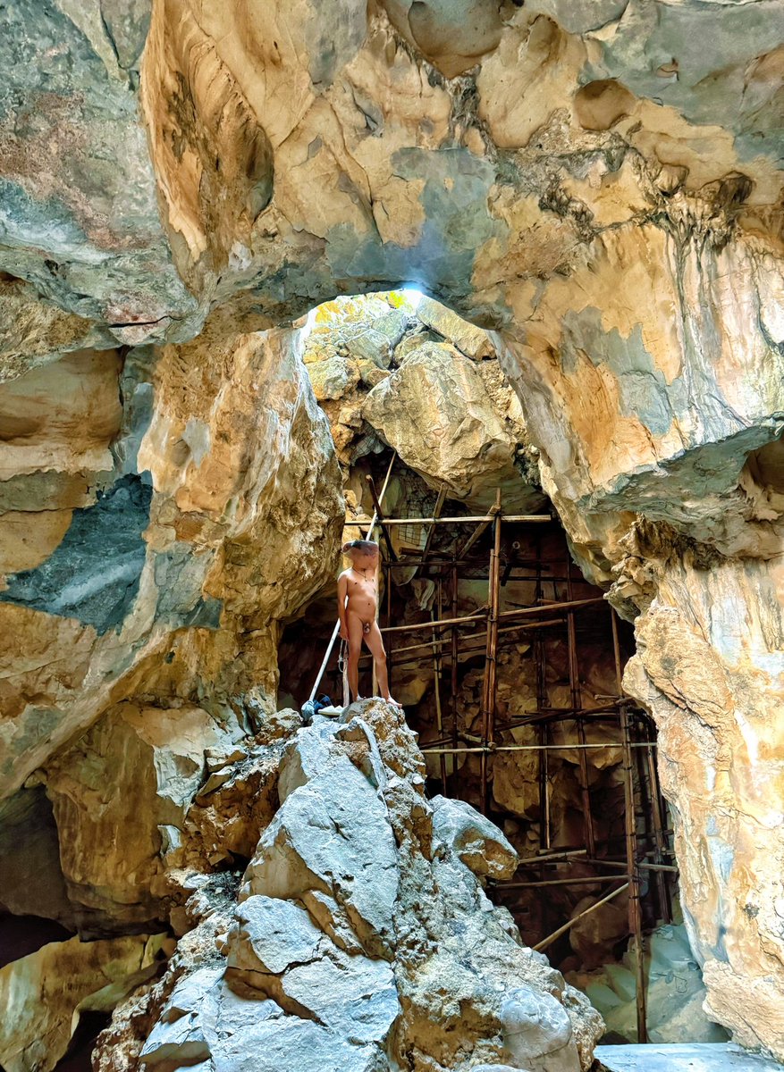 Patrick man tweet media