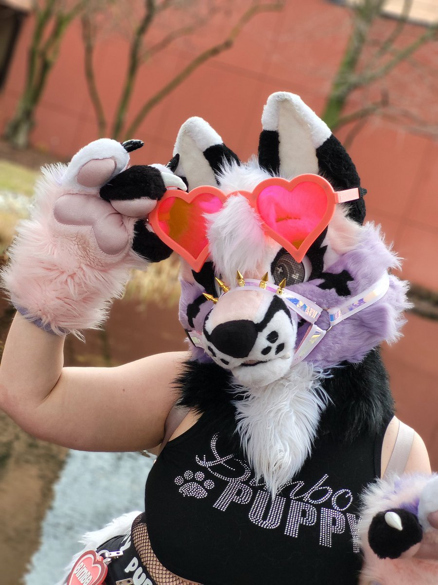 Happy #FursuitFriday 💖 
I’ve been absolutely loving my <a href="/FursuitGlasses/">FursuitGlasses</a> glasses lately (they made my bat ones too!) such a perfect accessory especially with summer around the corner ☀️

📷 <a href="/MimiADShep/">Mimi</a>