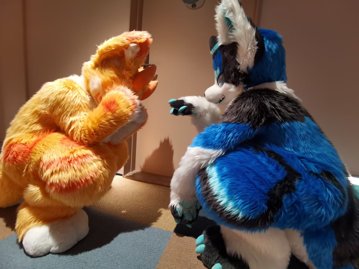 #FursuitFriday
论笨蛋出毛：

-你出毛怎么不带房卡！
-你出毛怎么也不带房卡😭

所以出毛怎么带房卡😈