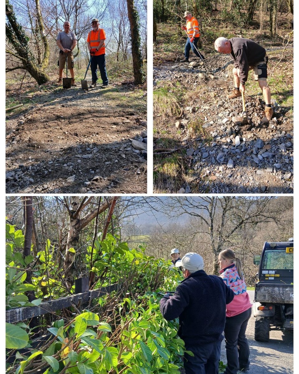 Our volunteers have been really busy this week in the sunshine! They’ve worked on the laurel hedge, removed rotten seating ready for new benches to be installed AND supported the rangers to fix the damage to the bike track.