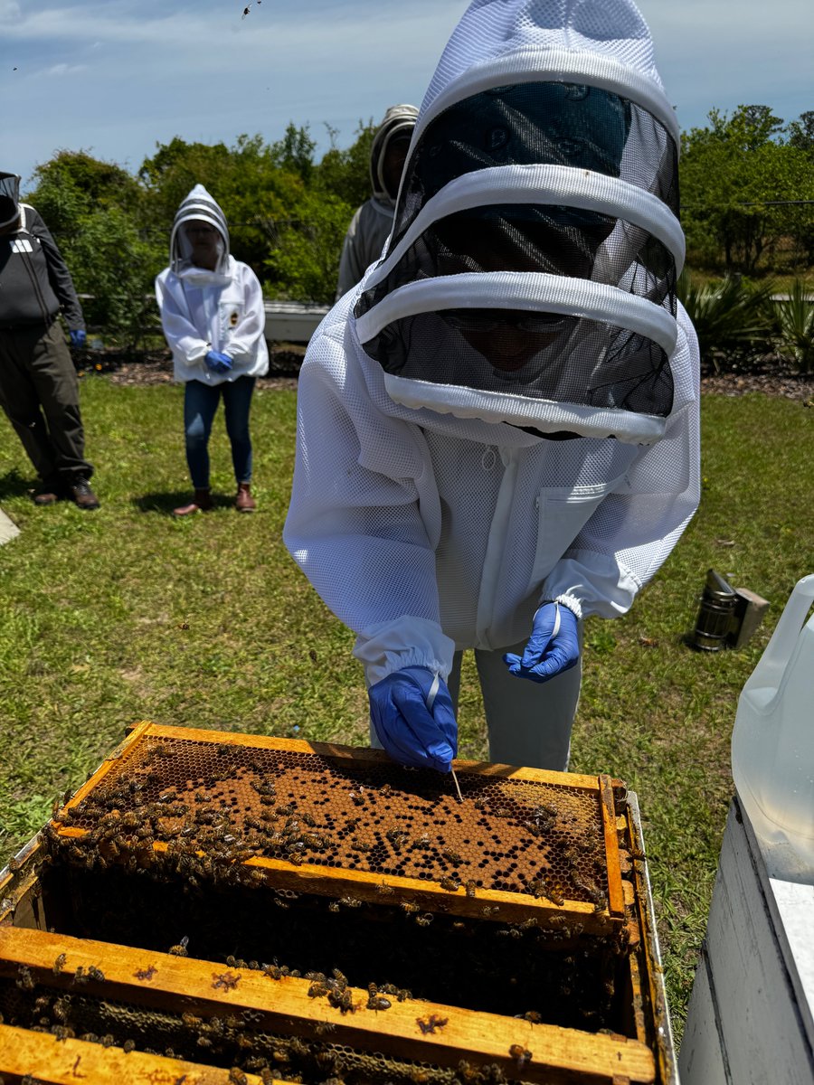 Veterinarians, you play a crucial role in supporting honey bee health. Learn how you can make a difference by visiting BeesNeedVets.com. 🐝💛