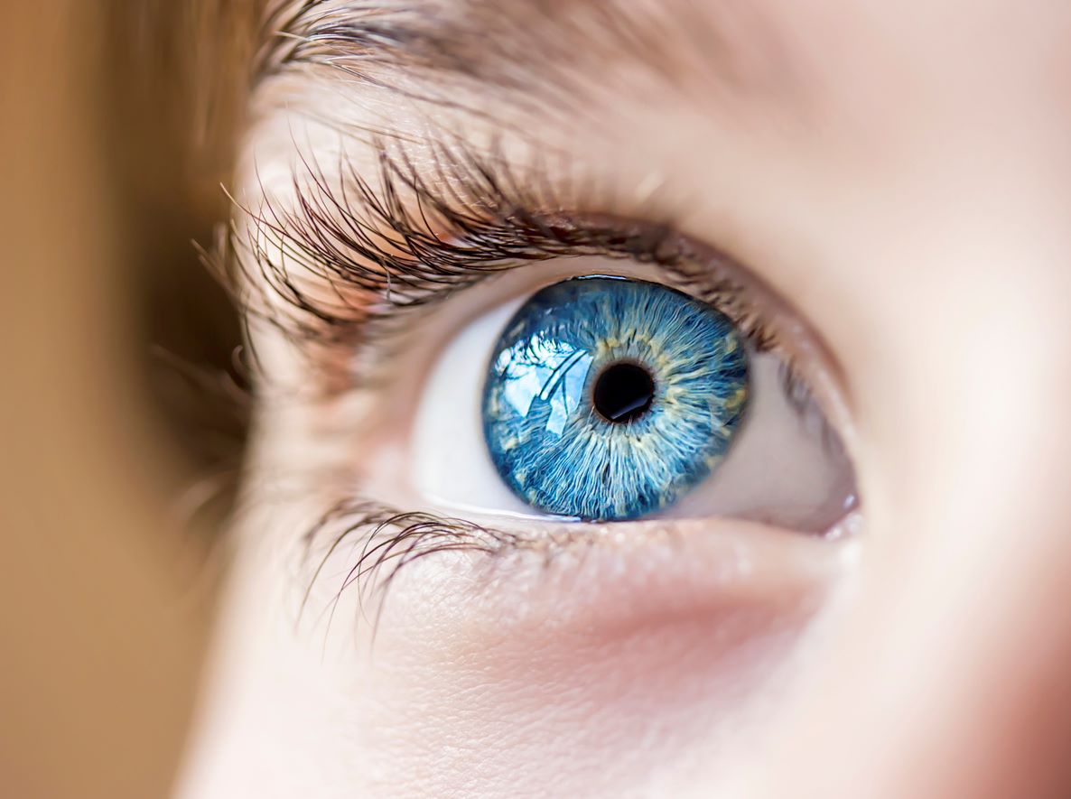 Did You Know? When consumed through a diet rich in fruits and vegetables, Vitamin C, can play a crucial role in eye health, potentially reducing the risk and slowing the progression of age-related vision issues.  Celebrate National Vitamin C Day and schedule an annual eye exam.