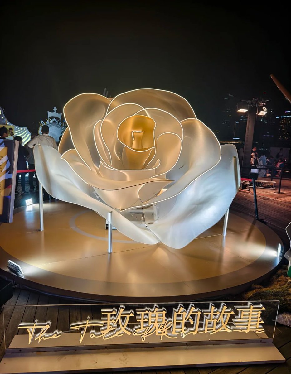 夜の中、大きなバラのアート作品は夢のように美しく、バラの物語を語っているかのようです