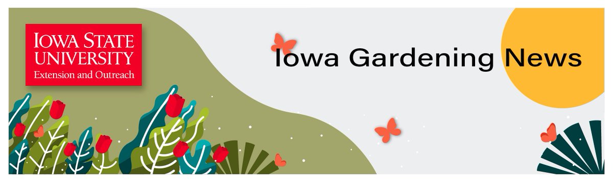 ISU_YardGarden's tweet image. Starting in April, the Iowa Gardening Newsletter will be delivered twice a month through June!
The first newsletter this month comes out on Tuesday. Subscribe to receive gardening info here: yardandgarden.extension.iastate.edu/get-newsletter